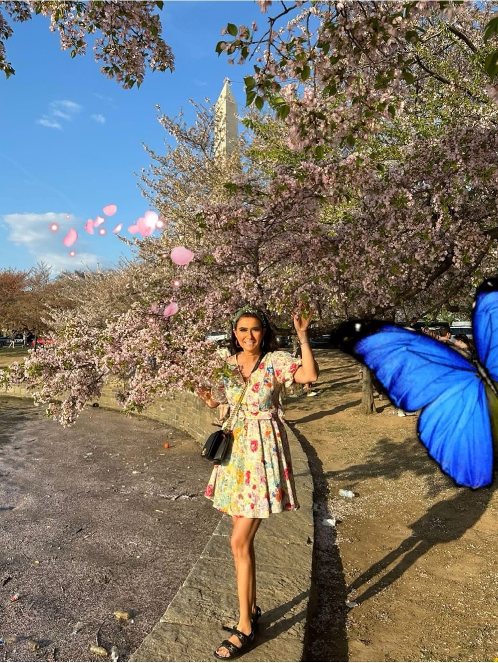 Zimmermann Multicolor Floral Mini Dress - Picture 5 of 5